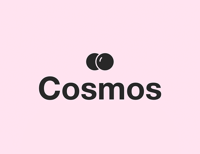 Cosmos Jewelry Logo - Logobook - Creative Logo Design