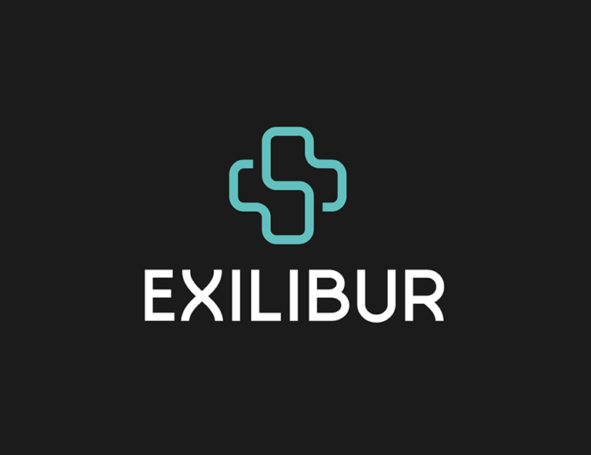 Excalibur Logo - Logobook - Creative Logo Design
