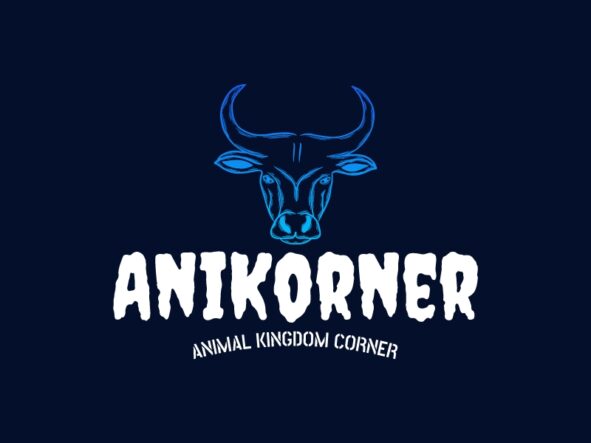 AniKorner