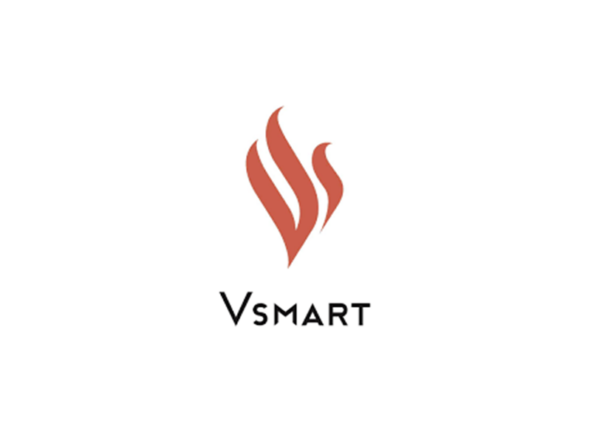 VinSmart