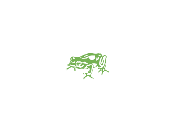 Frog Design