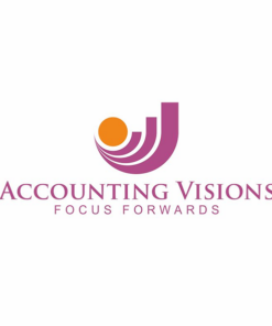 Accounting Visions