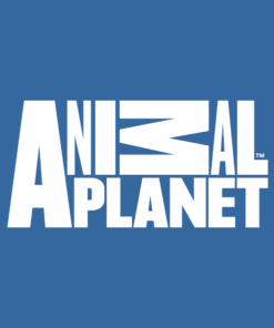 Animal Planet