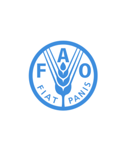 FAO