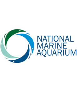 National Marine Aquarium