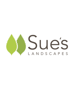 Sue's
