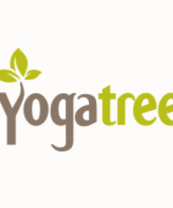 Yoga Tree