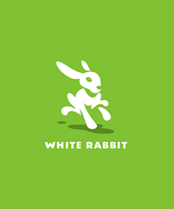 white rabbit