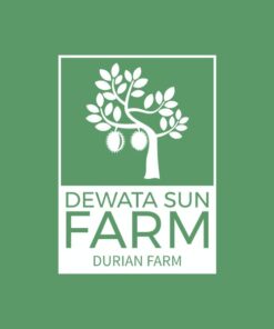 Dewata Sun Farm