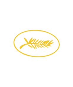 Cannes-Film-Festival