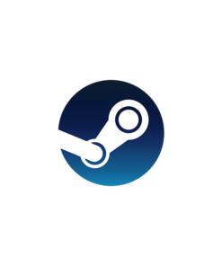 Steam