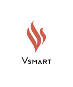 VinSmart