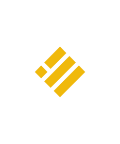 BUSD Binance USD