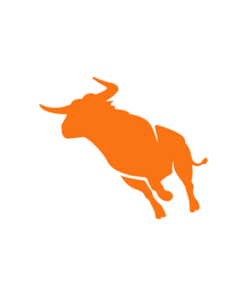 Bullhorn