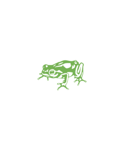 Frog Design