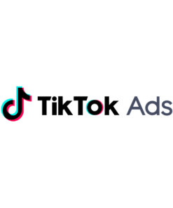 TikTok Ads