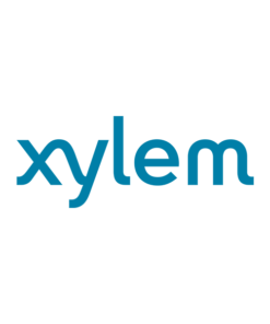 Xylem